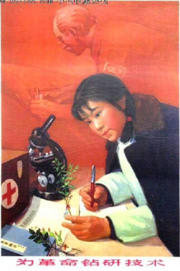 张宏良：中国精英阶级的政治宣言