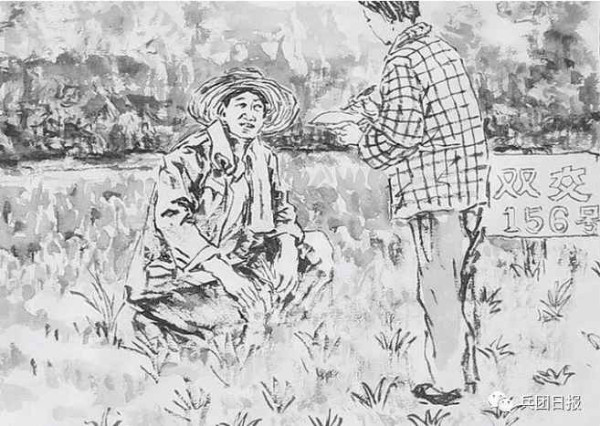 愿把他乡作故乡——江苏支边青年与新湖农场的故事