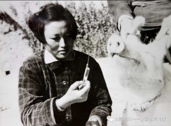 独家影像:安徽70年代的知青岁月