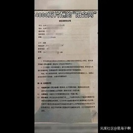 申鹏:一天挣208万?