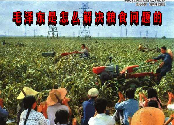 毛泽东是怎么解决粮食问题的