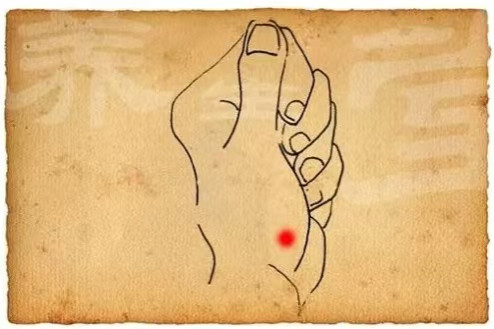 颈椎问题的特效穴，不在颈椎，在这个地方!