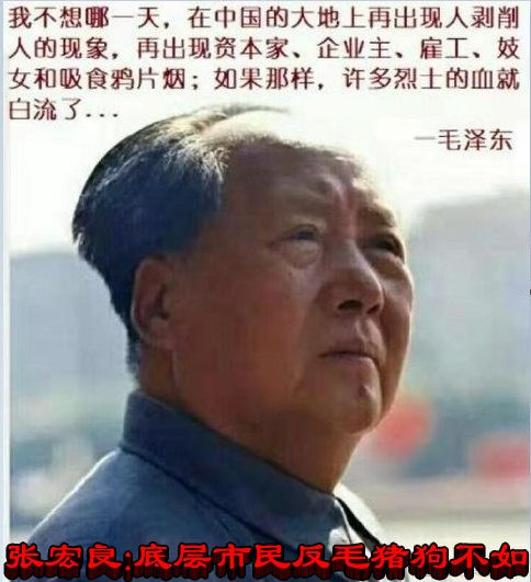 张宏良：底层市民反毛猪狗不如——五评方方事件