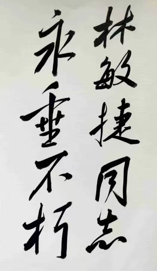 九死何曾移寸铁，一生只铸斩邪刀——沉痛悼念毛主席的好战士林敏捷同志