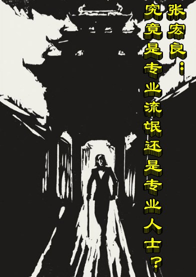 张宏良：究竟是专业流氓还是专业人士？