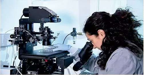 徐立: 颠覆性生物技术的制胜机理与发展预判