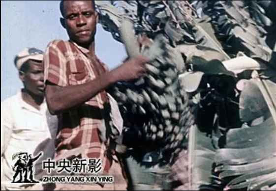 大量插图版｜1949年至80年代初大陆电影的国外获奖情况摘录