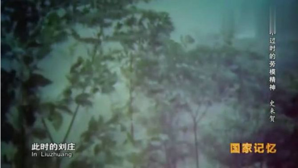 九次见到毛主席的公社书记——史来贺