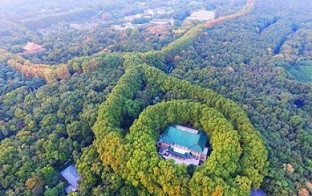 申鹏:蒋介石和宋美龄的“爱情”?