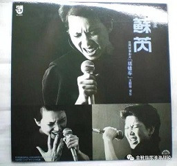 共青团的音乐晚会，没有《春天的故事》