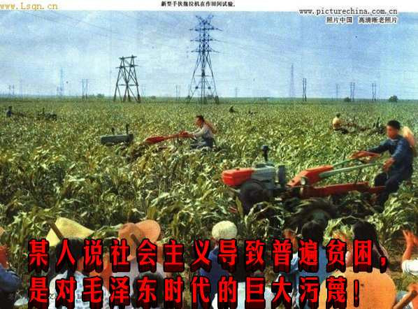 某人说社会主义导致普遍贫困，是对毛泽东时代的巨大污蔑！