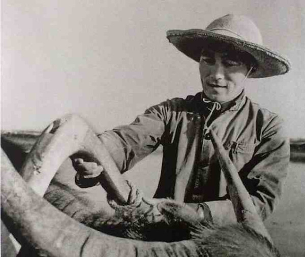 中华民族的子孙应当知道的关于毛主席的十四个谬论