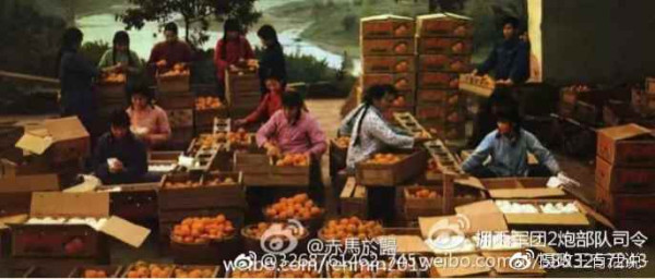 真相：历史必须再次澄清！