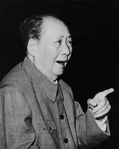 毛远新：关于“一生干了两件大事”的说法