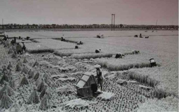 老照片：新中国70年代初期欣欣向荣的农村人民公社
