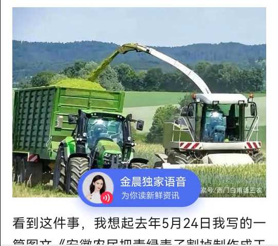 蒋高明 :青储小麦的经济账并不合算，其真实目的有待深挖