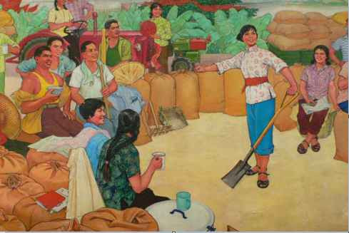 毛泽东社会主义光明道路——农业合作化运动