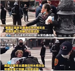 申鹏：打狗棒的妙用！