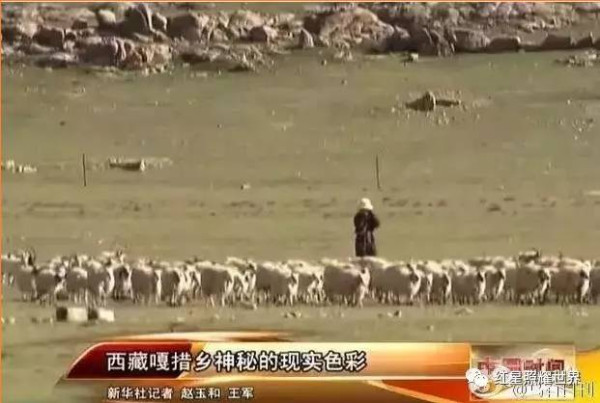 西藏有一个走集体化道路的人民公社