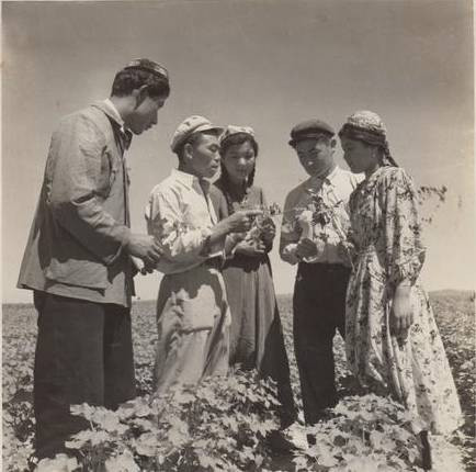 亲不亲，阶级分