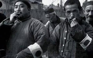 子午：富人的狗