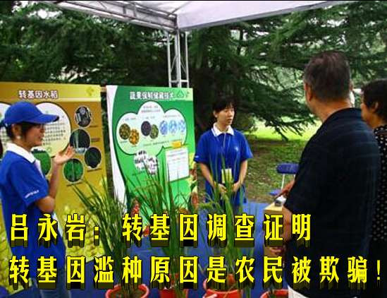 吕永岩：转基因调查证明转基因滥种原因是农民被欺骗！
