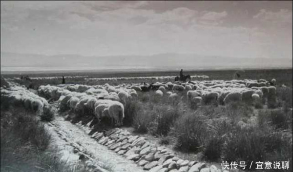 老照片：新中国70年代欣欣向荣的农村人民公社