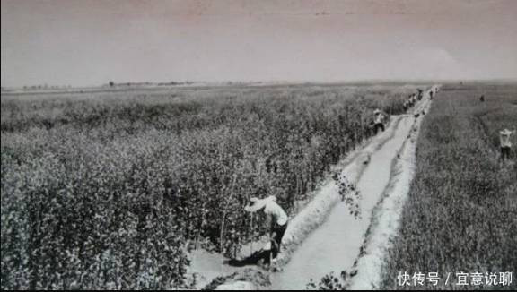 老照片：新中国70年代欣欣向荣的农村人民公社