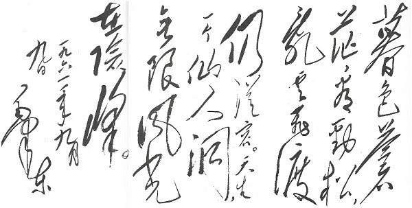 朱树松：“无限风光在险峰”