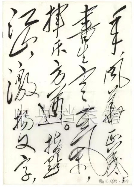 李克勤|毛主席首创成语“风华正茂”：用作描述五四青年好在哪?