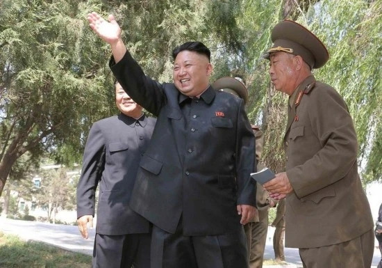 革命者追求的甜头是什么