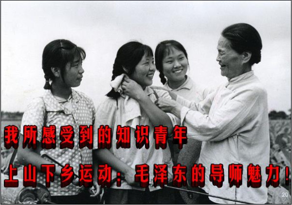我所感受到的知识青年上山下乡运动：毛泽东的导师魅力！