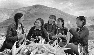 子午:从劳动模范到扶贫模范,被身份转换的不止是申纪兰……