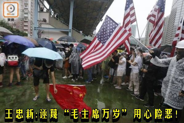 王忠新：诬蔑“毛主席万岁”用心险恶！