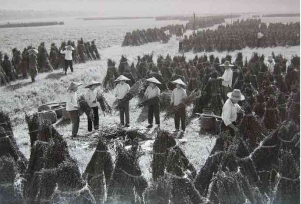 老照片：新中国70年代初期欣欣向荣的农村人民公社