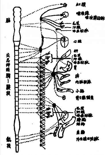 大众民主制约下的公平