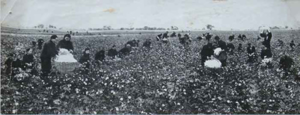 毛泽东社会主义光明道路——农业合作化运动