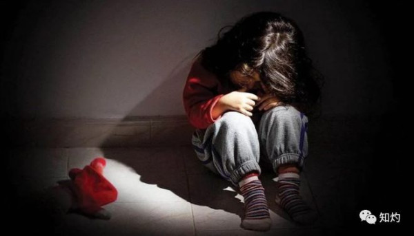 人大法学教授谈王振华案：被糟蹋的，都是穷人家的闺女