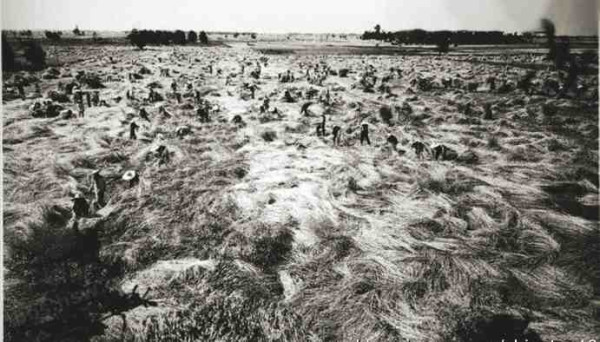 新中国工业革命与世界工业化回眸（六）