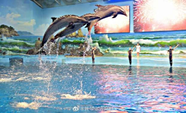 过去10年来，朝鲜发生了翻天覆地的变化