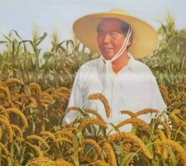 究竟是谁让中国人吃饱了肚子?