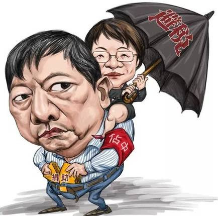 张宏良：打造“强权特首”是解决香港问题的必由之路