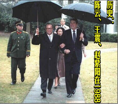 历史：陈云、王震、赵紫阳在1988