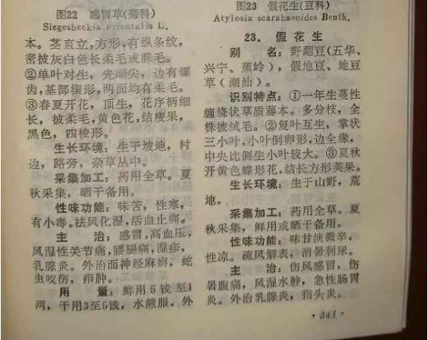 赤脚医生：悬壶济世的温暖记忆【1】