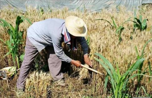 党国英研究员屁股坐歪了，脑袋也做歪了