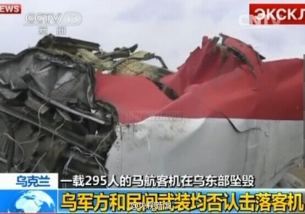 张宏良评：马航客机被击落事件