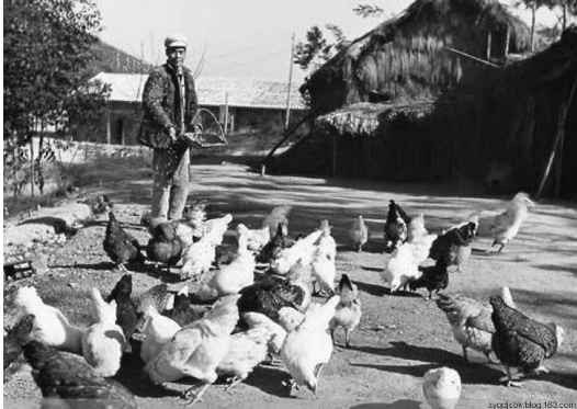 毛主席为何要办“五七”干校