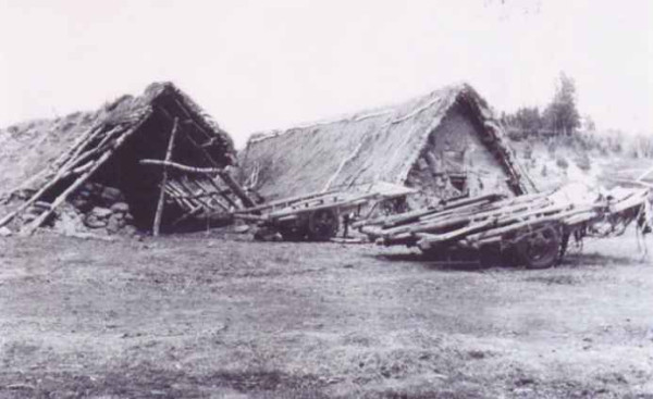 看到塞罕坝的老照片，我落泪了