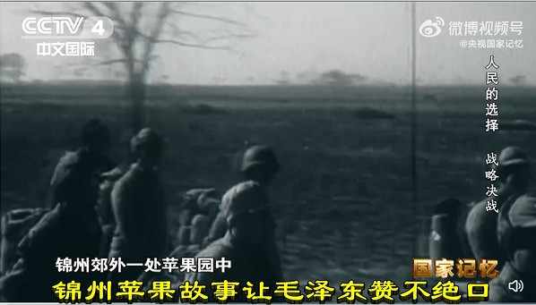 锦州苹果故事让毛泽东赞不绝口