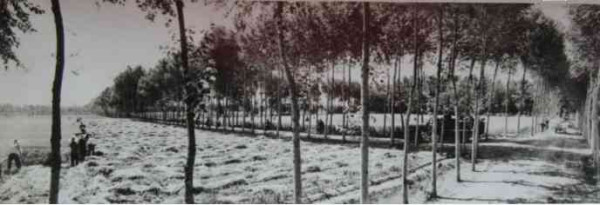 老照片：新中国70年代初期欣欣向荣的农村人民公社